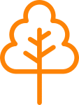 Ægte og vild kaprifolie (Lonicera caprifolium / periclymenum)